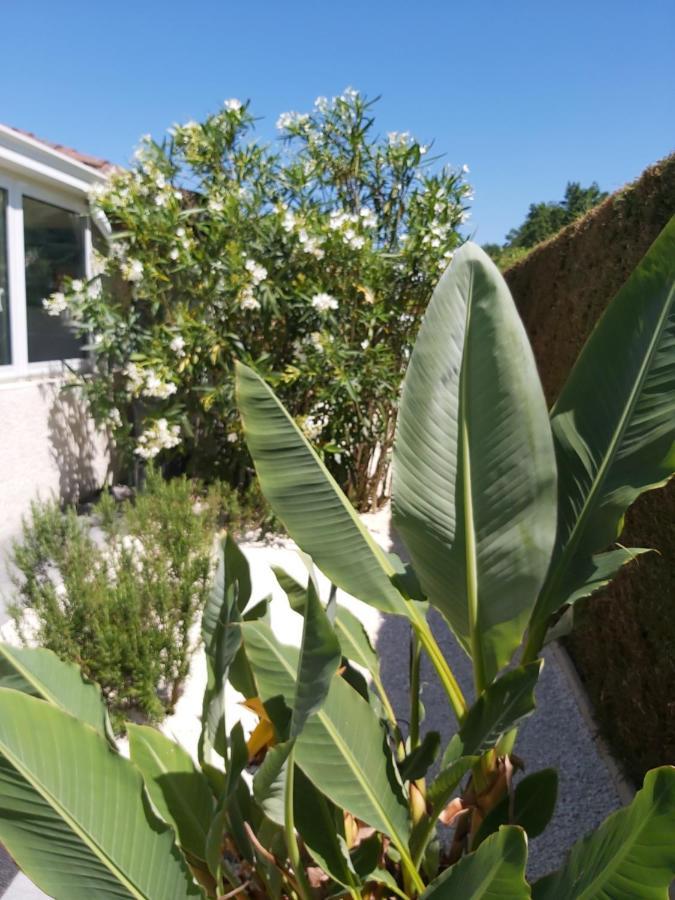 Le Soleil Couchant Angresse Exterior photo