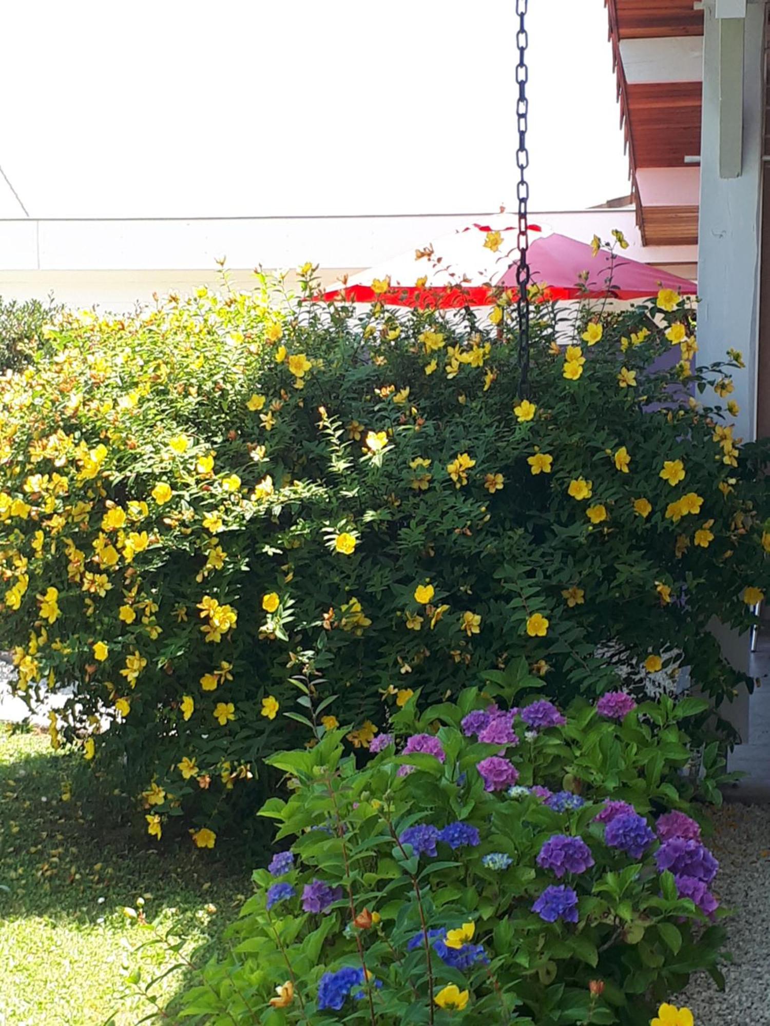 Le Soleil Couchant Angresse Room photo